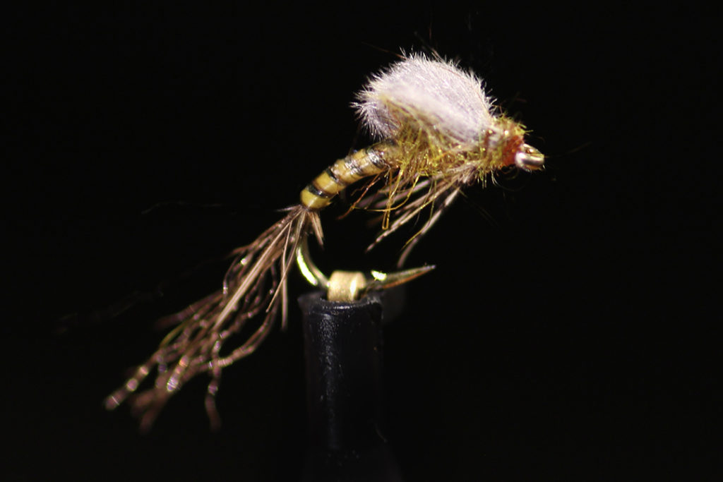 June Fly of the Month – St. Paul Fly Tiers & Fisherman's Club